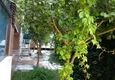 Купить Трехкомнатная квартира с выходом в сад у пляжа Клеопатры 9 