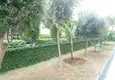 Купить Роскошная цена! Двухкомнатная квартира с мебелью на берегу Средиземного моря 21 
