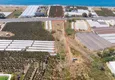 Купить Земельный участок на первой береговой линии  8 