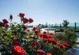 Купить Квартиры с видовыми характеристиками в комплексе премиум класса по ценам от застройщика  22 