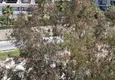 Доступная покупка Двухкомнатные меблированные апартаменты от собственника в современном комплексе 36 