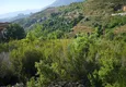 Купить  Земельный участок под строительство дома с видом на море район Каргыджак 4 