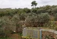 Купить Домик в деревне в аутентичном стиле с большим земельными участком в районе Ешильоз – Алания 16
