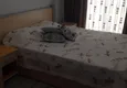 Доступная покупка Трехкомнатная квартира с мебелью на долгосрочную аренду в Алании район Оба 15 