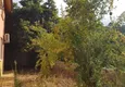 Купить Вилла в Кестеле с мебелью от собственника 5