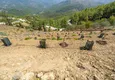 Купить Дом в Алании поселок Факырджалы с большим земельным участком – 88 фруктовых дерева  11 
