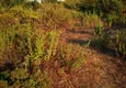 Купить Земельный участок в Каргыджаке под застройку 8