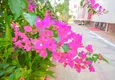 Купить Квартира в Махмутларе трёхкомнатная с мебелью в жилом комплексе 10