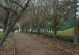 Купить Квартиры в Манавгате с 3 спальнями на берегу реки 12
