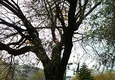 Купить Квартиры в Манавгате с 3 спальнями на берегу реки 16