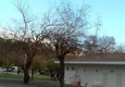 Купить Квартиры в Манавгате с 3 спальнями на берегу реки 28