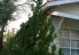 Купить Квартиры в Манавгате с 3 спальнями на берегу реки 35