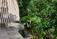 Купить Трехэтажный дом в Алании - Махмутлар с мебелью и личным бассейном, после ремонта  7 