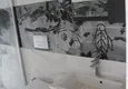 Доступная покупка Пентхаус-дуплекс в Газипаше с чистовой отделкой и видом на море 8