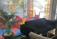 Купить Квартира 1+1 с видом на горы в современном комплексе, район Оба – Алания 22