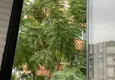 Доступная покупка Линейные апартаменты 3+1 с отдельной кухней и современным интерьером в Анталии – Лиман  46 