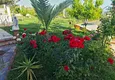 Купить Трехэтажная частная вилла в Алании, район Инджекум, Алания 22 