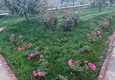 Купить Трехэтажная частная вилла в Алании, район Инджекум, Алания 28 