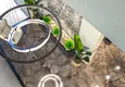 Купить Новый проект роскошного комплекса с отельной инфраструктурой – Газипаша, район Пазарджи 22