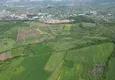 Доступная покупка Меблированная квартира с садом и великолепным панорамным видом – Махмутлар, Алания 3 