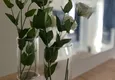 Доступная покупка Двухкомнатная квартира с мебелью в центре Алании  6 