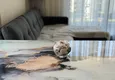Доступная покупка Долгосрочная аренда квартиры 1+1 с мебелью и видом на горы в Алании, район Махмутлар А73 9