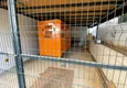 Купить Линейная квартира 3+1 с отдельной кухней, новой мебелью и частичным видом на море - район Махмутлар, Алания 8 
