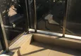 Доступная покупка Линейная квартира 3+1 с отдельной кухней в Анталии, район Дошемеалты  20 