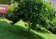Доступная покупка Таунхаус на два хозяина - квартира с садом и панорамным видом в комплексе-отеле, Махмутлар 10 