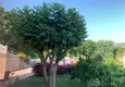 Доступная покупка Таунхаус на два хозяина - квартира с садом и панорамным видом в комплексе-отеле, Махмутлар 9 