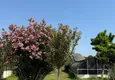 Купить Трёхкомнатная квартира с новой мебелью после ремонта в жилом комплексе у реки, Кестель, Алания 16 