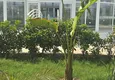 Купить Современный комплекс в Анталии, Алтынташ – квартиры по ценам напрямую от застройщика  16 