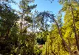 Купить Квартира 1+1 с видом на море в Авсалларе - выгодное предложение от собственника 26 