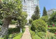 Купить Квартира 4+1 в Алании – линейная с мебелью район Джикджилли 6