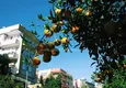 Купить Квартира 2+1 в элитном комплексе. 9 