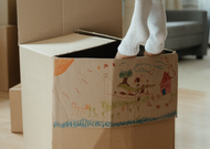 Переезд в Турцию с детьми