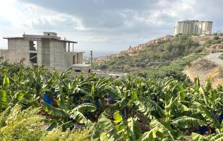 Земля в турции для сельского хозяйства недвижимость в италии квартиры