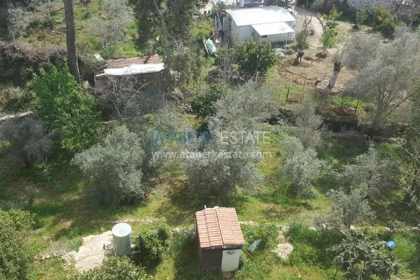 Приобрести Меблированная двухэтажная вилла с фруктовым садом в районе Авсаллар 7