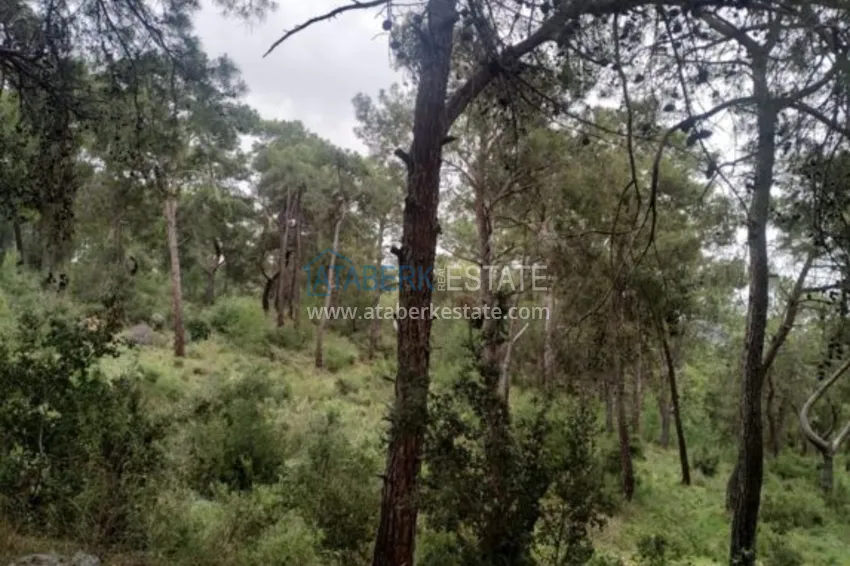 Квартира в Авсалларе двухкомнатная с мебелью  11 