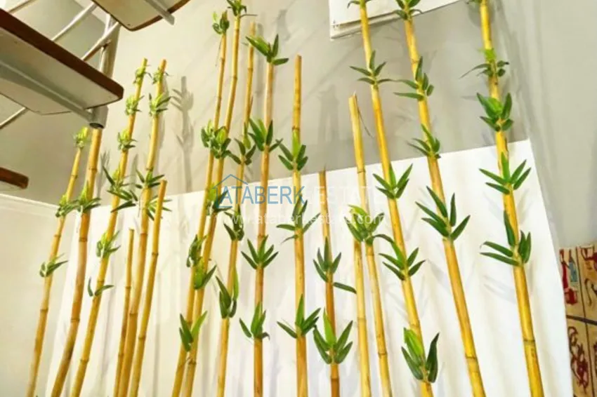 Приобрести  Квартира в Анталии – Коньяалты, двухуровневая с выходом в сад 2 