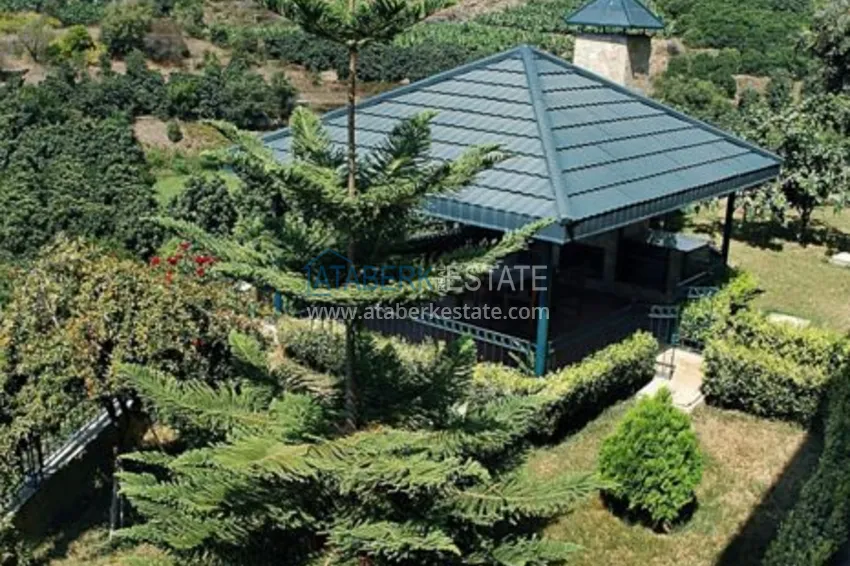 Отдельно стоящая вилла в Кестеле – бассейн, газификация, солнечные батареи 47 