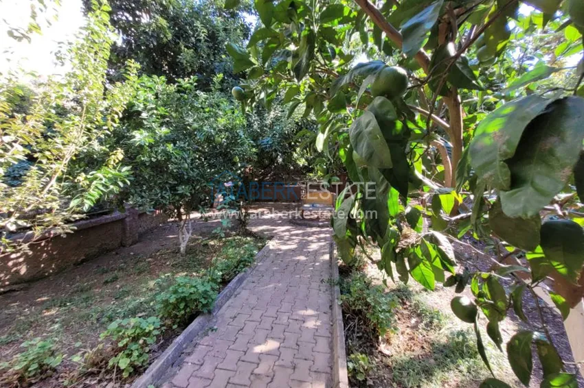 Квартира в районе Джикджилли меблированная с видовыми характеристиками 6 