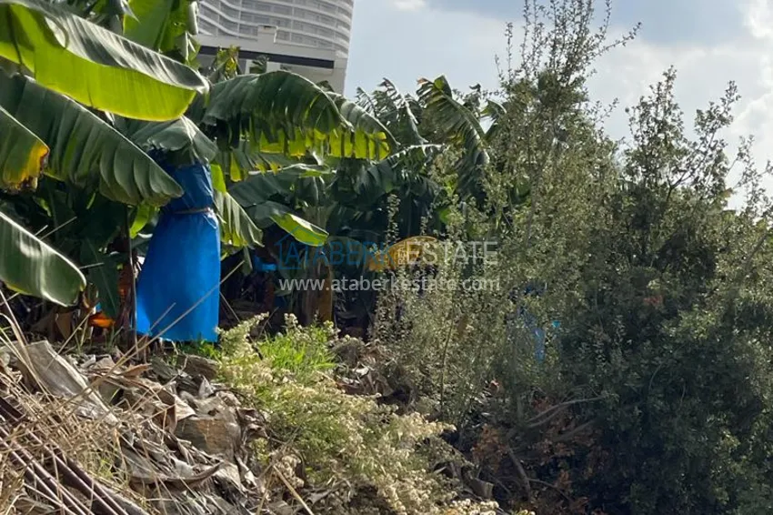 Участок в Каргыджаке с видовыми характеристиками 11 