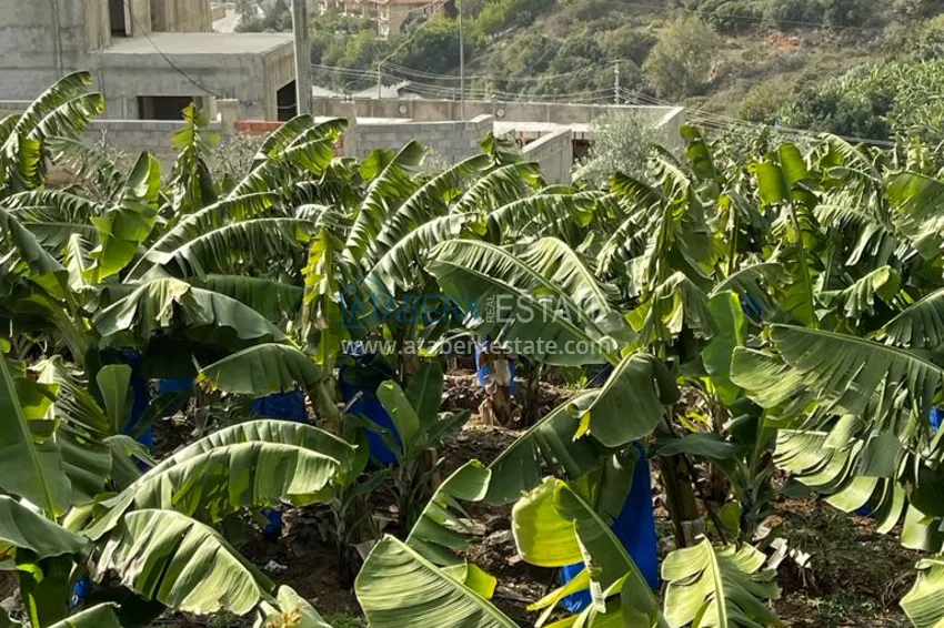 Участок в Каргыджаке с видовыми характеристиками 4 