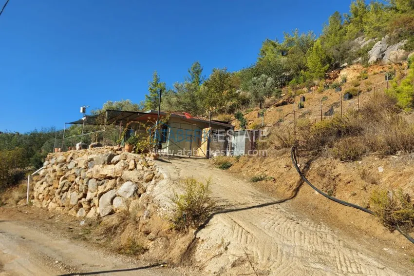 Ферма в районе Демирташ с большим земельными участком  1 