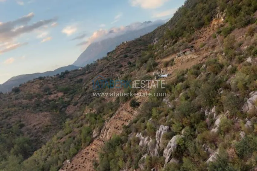 Ферма в районе Демирташ с большим земельными участком  3 