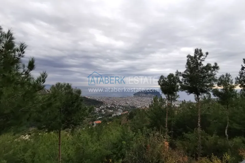 Приобрести Вилла в Алании район Тепе с потрясающими видовыми характеристиками 28 