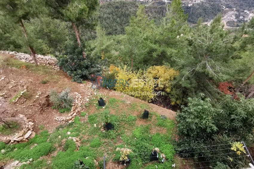 Приобрести Вилла в Алании район Тепе с потрясающими видовыми характеристиками 30 