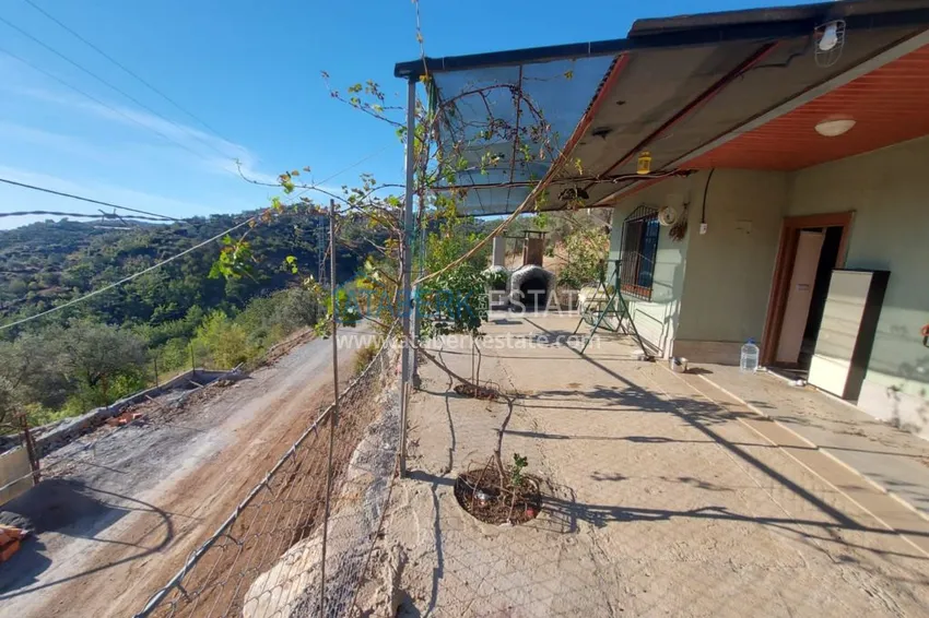 Ферма в районе Демирташ с большим земельными участком  5 