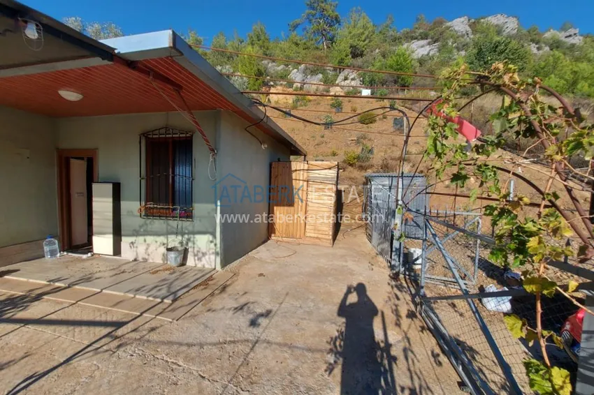 Ферма в районе Демирташ с большим земельными участком  6 